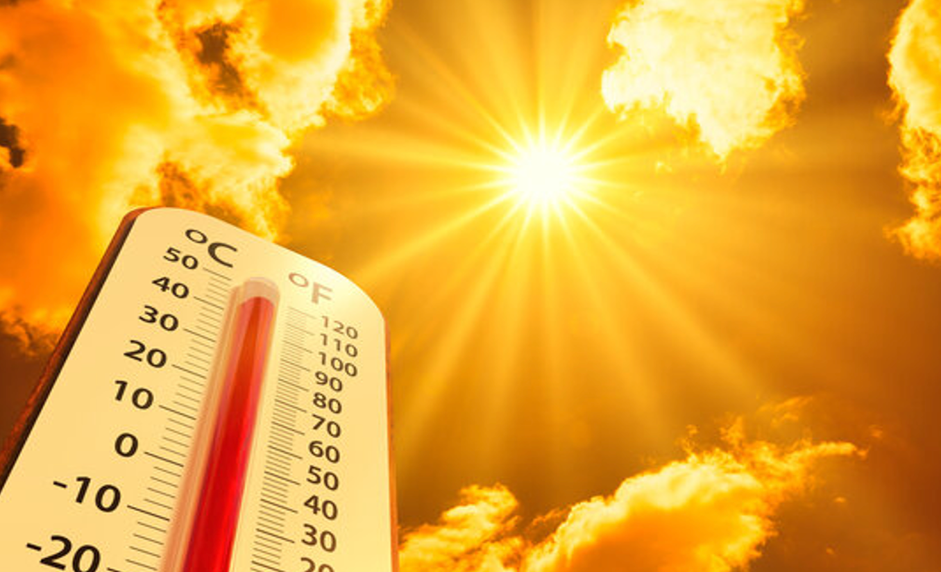 STRESS NHIỆT TRÊN VẬT NUÔI